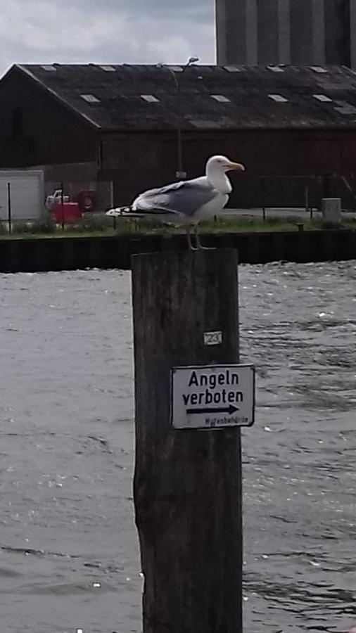 Nordseeburg Daire Friedrichskoog-Spitz Dış mekan fotoğraf